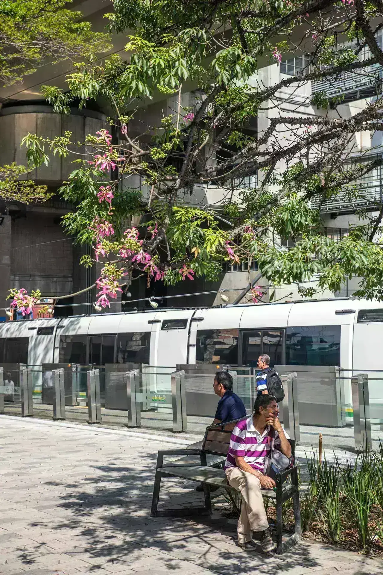 Detalle del acabado pulido y texturizado de los módulos de concreto prefabricado.